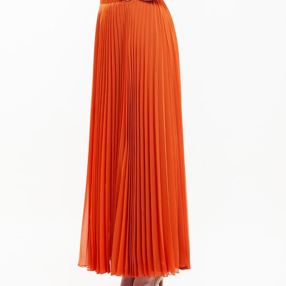 MAXI PLEATED SKIRT - Picture 2 of 3